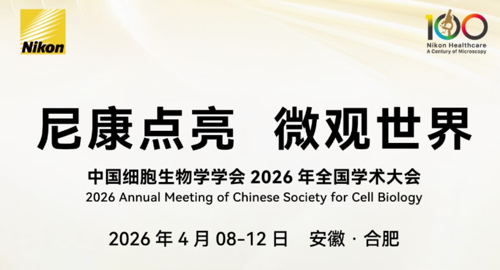 贝斯特bst(中国区)-官方网站
